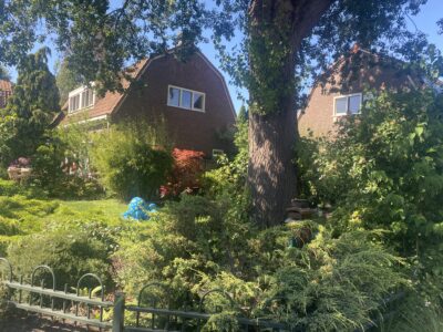 Nature in Tuindorp Oostzaan © Marcelline Bonneau