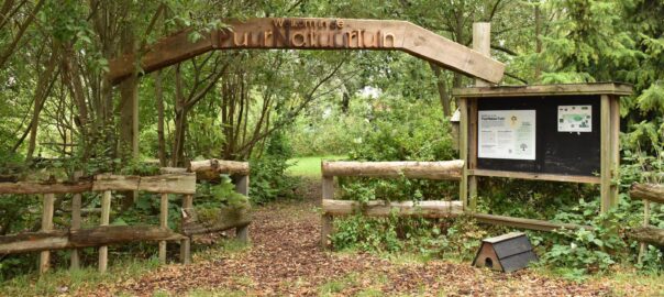 Pure Natuur Tuin in Tuindorp Oostzan © GfW